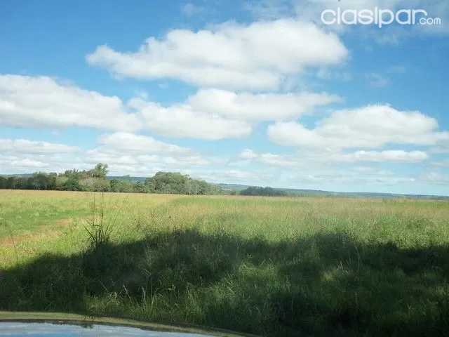 VENDO 150 HAS,TIERRA AGRÍCOLA MECANIZADA -PIRIBEBUY VALENZUELA A 2 KMS DEL ASFALTO — foto 2