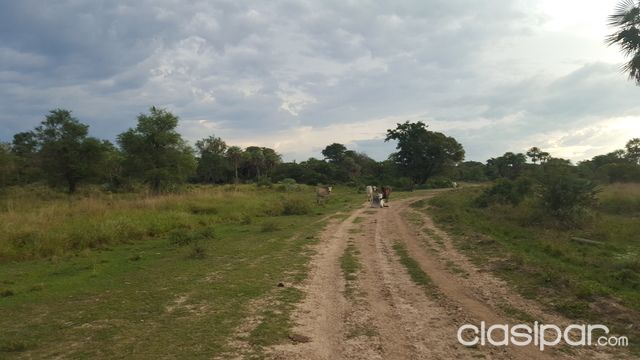 En Venta 109 Has. de Terreno en Benjamín Aceval!!! — foto 3