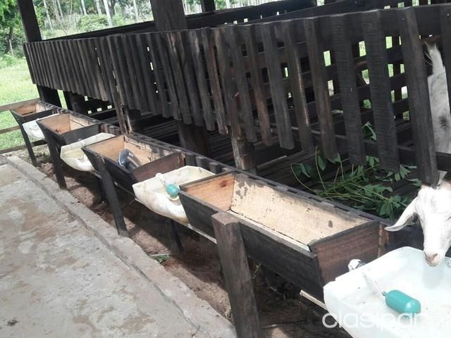 Casa Quinta con Granja — foto 2