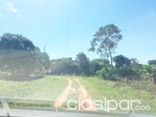 Regalo campo con proyecto produccion cerdos — foto 3