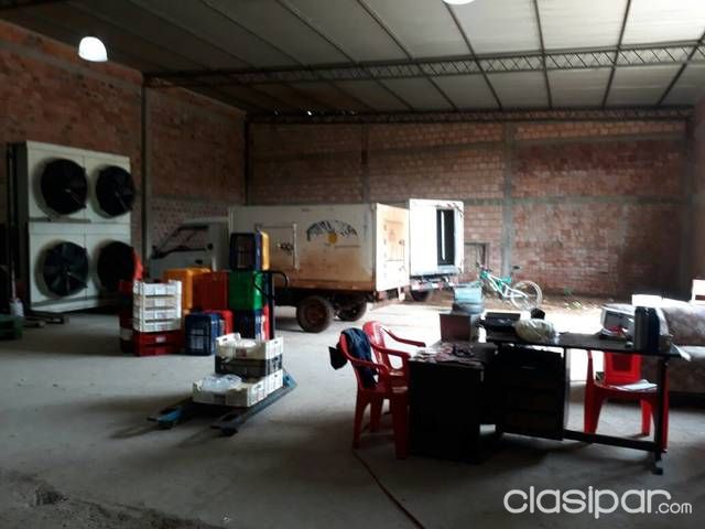 Terrenos de 5000mts2 con tinglado y oficinas — foto 2