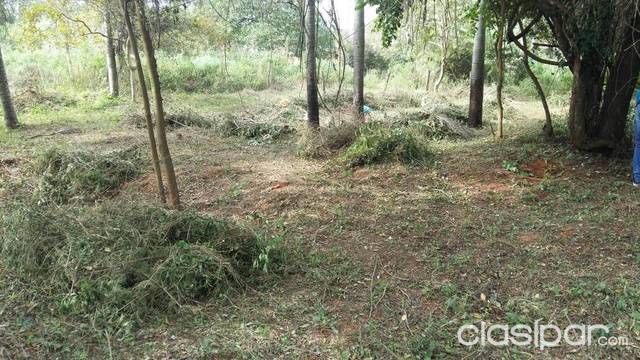 Remató terreno en luque — foto 2