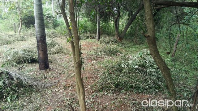 oferta terreno en luque — foto 2