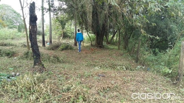 oferta terreno en luque — foto 3