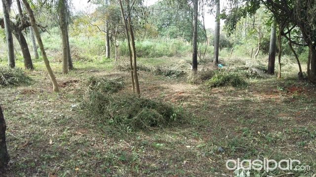 vendo hermoso terreno en Luque — foto 3