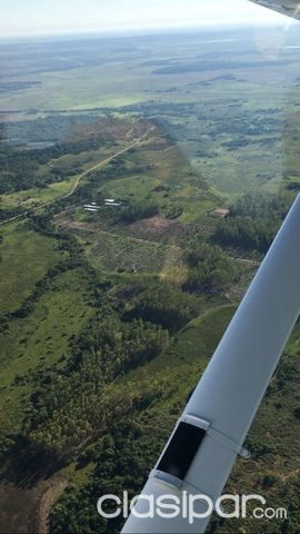 Vendo Campo en Emboscada 128 hectareas — foto 2