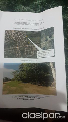 Una propiedad de 3 hectáreas — foto 3