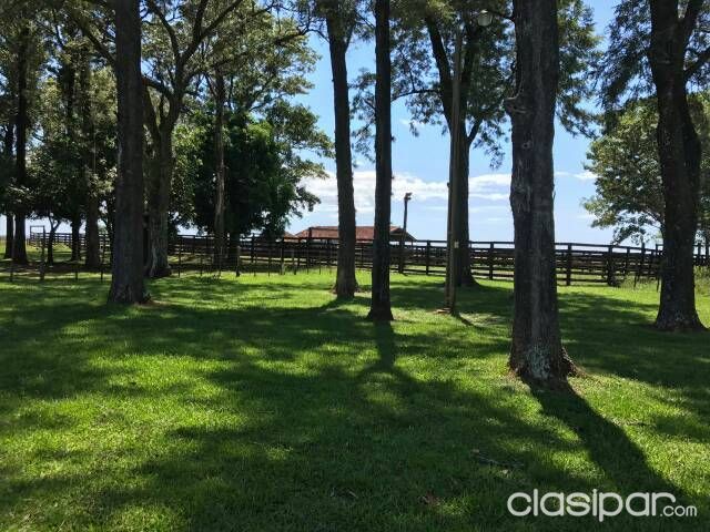 Vendo Estacia de 1.780 hectareas.. zona Misiones — foto 2