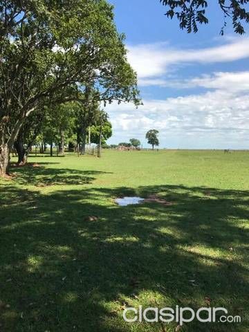 Vendo Estacia de 1.780 hectareas.. zona Misiones — foto 3