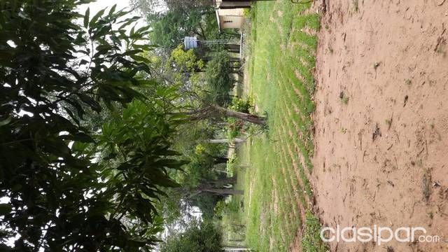 Propiedad en Nueva cplombia. — foto 2