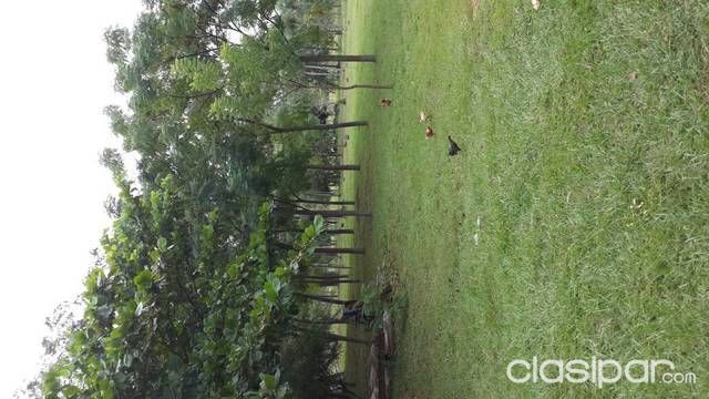 Propiedad en Nueva cplombia. — foto 3