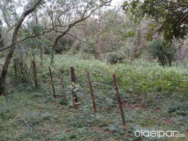 Un terreno — foto 2