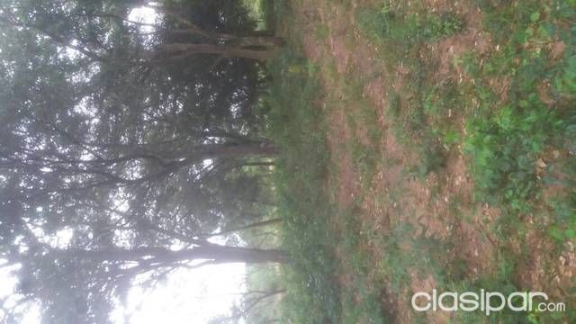 Lotes en atyra — foto 2