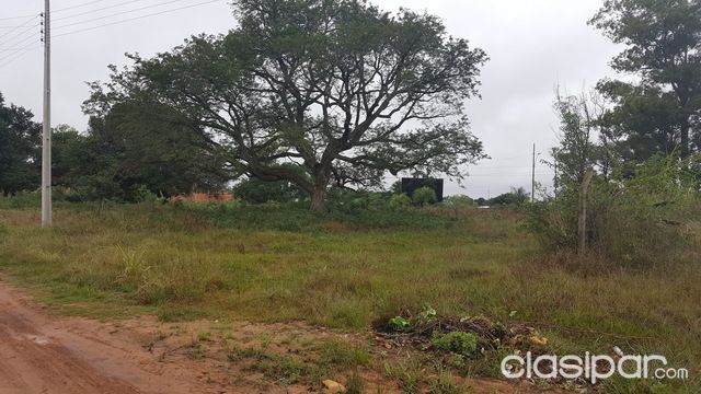 VENDO TERRENOS EN YPACARAI ZONA KURUSU PABLITO — foto 2