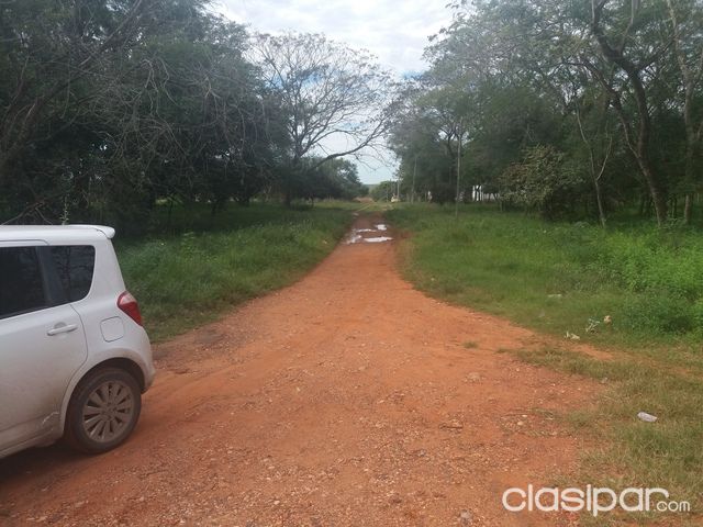 TERRENO EN LUQUE — foto 2