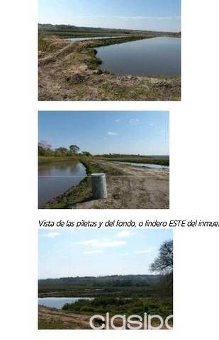Propiedad Rural Caaguazu — foto 3