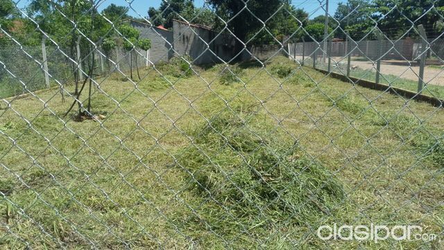 Vendo hermoso terreno en Luque a metros de la Municipalidad — foto 3