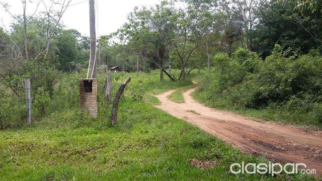 Atención Abogados e Inversionistas Luque Tarumandy! Terreno invadido — foto 2