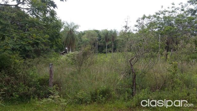 Atención Abogados e Inversionistas Luque Tarumandy! Terreno invadido — foto 3