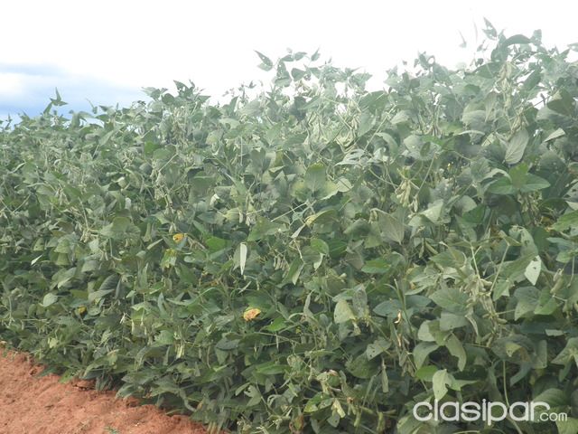 Terreno 380has — foto 2