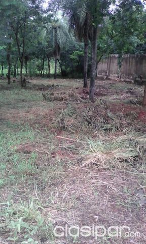 OFERTA terreno en luque — foto 2