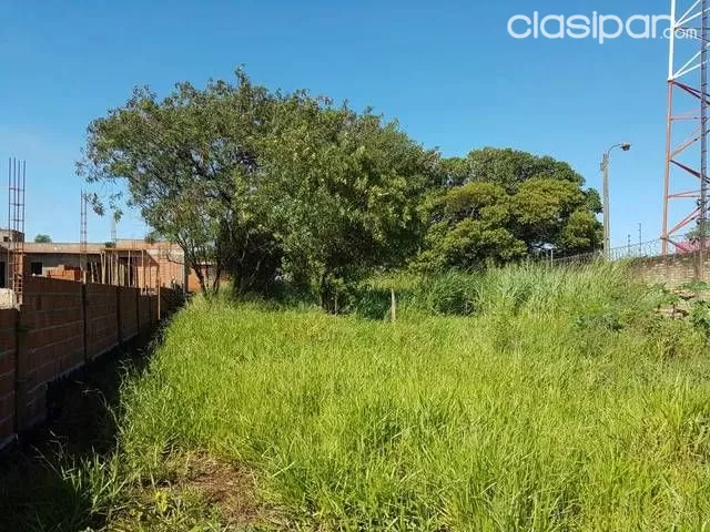 Vendo Terreno En Pedro Juan — foto 3
