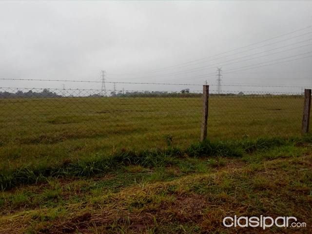 VENDO URGENTE LA MEJOR PROPIEDAD DE MINGA GUAZU KM.18 A 100 MTS. DE LA RUTA. 7 ( 3 HECTAREAS. — foto 3