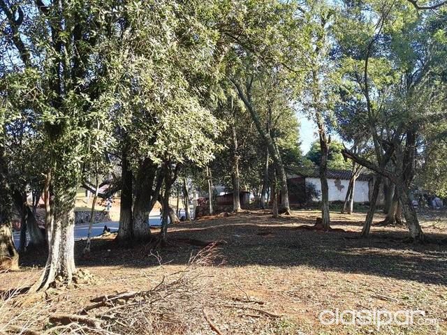 LUQUE ZONA IPS, OFERTO HERMOSO TERRENO, A 50 MTS. DE RUTA PRICIPAL — foto 2