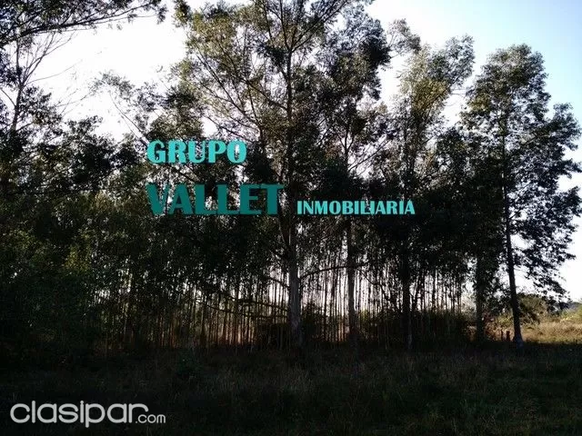 parque industrial — foto 2