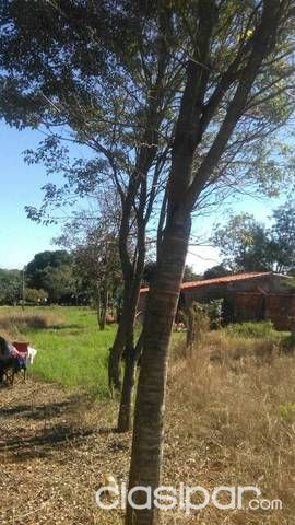 Seis terrenos juntos — foto 3