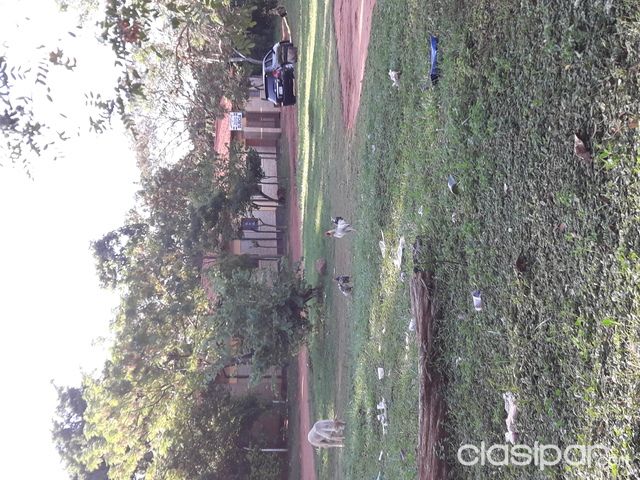 ###CAPIATA EXCLUSIVO COLEGIO SUECIA — foto 3