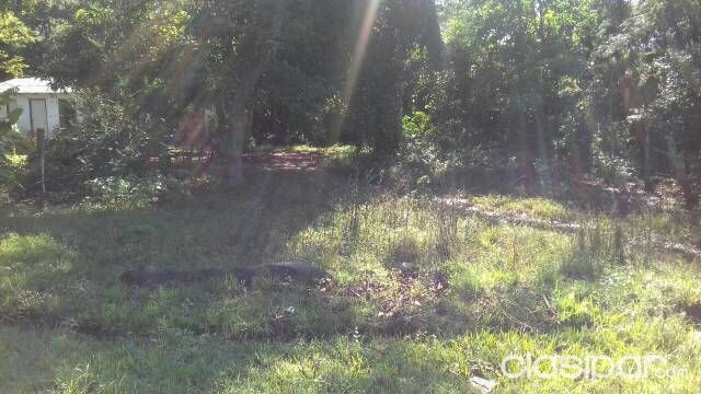 VENDO TERRENO EN CAPIATA — foto 3