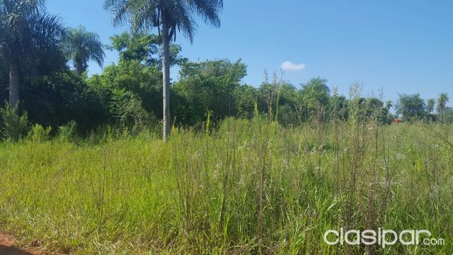 Atención CAPIATA - Remato cinco terrenos sobre empedrado, a pasos de ruta principal — foto 2