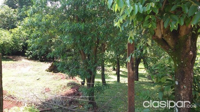 VENDO 2 TERRENOS JUNTOS EN KM. 6 ACARAY — foto 2