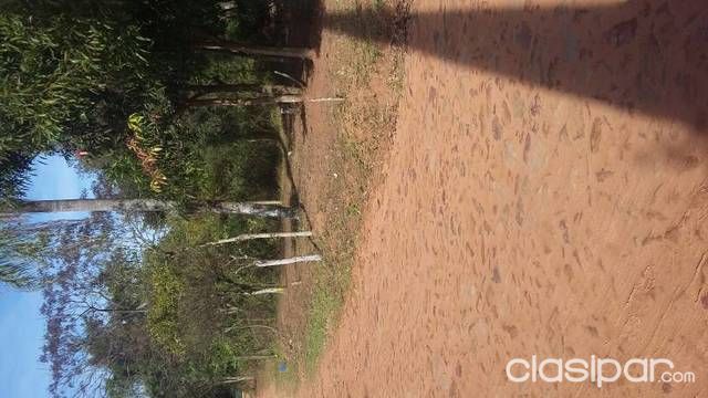 Vendo terreno en Tarumandy luque — foto 2