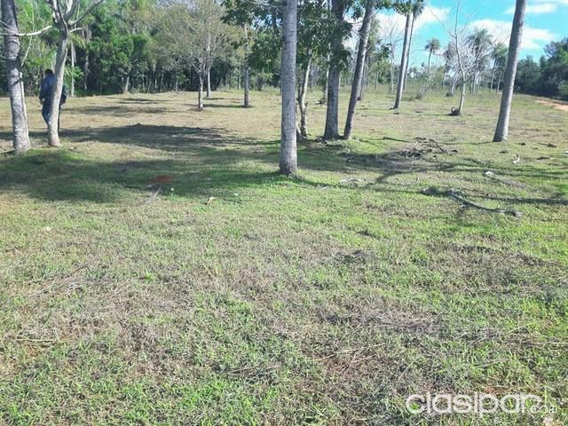 REMATO 5 HERMOSOS LOTES EN J. A. SALDIVAR - a 500 metros de asfalto — foto 2
