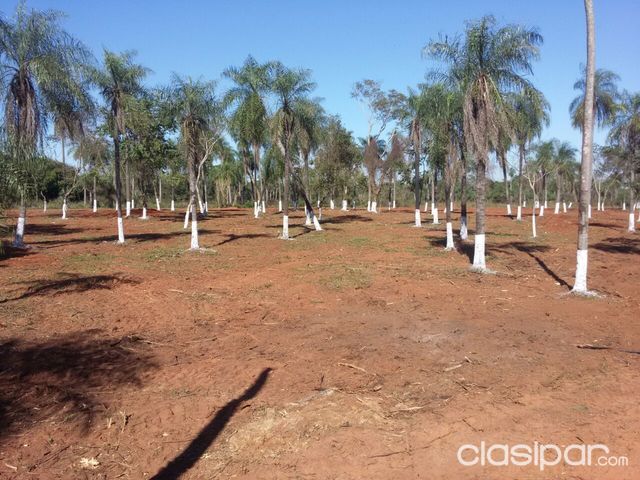 Terrenos en Aregua-pindolo — foto 2