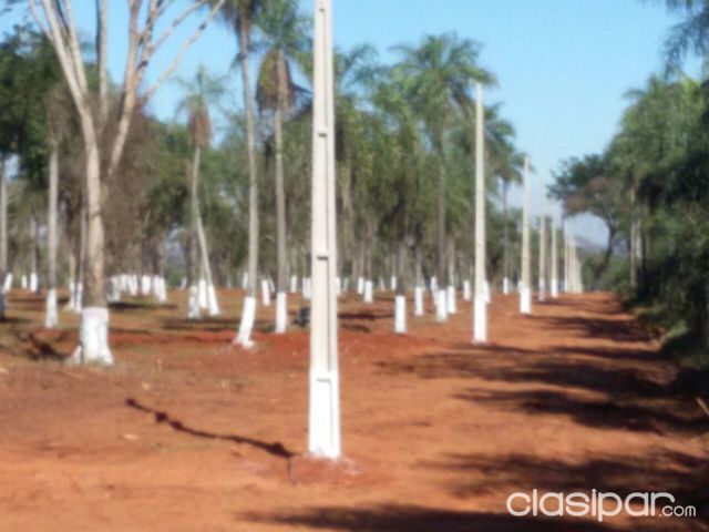 Terrenos en Aregua-pindolo — foto 3