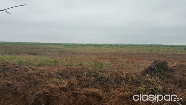 400 has en Itapúa. — foto 2