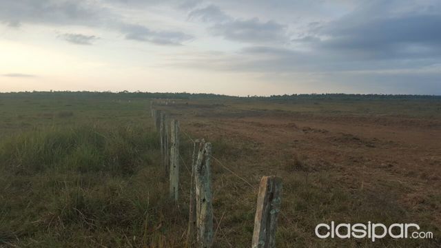 400 has en Itapúa. — foto 3