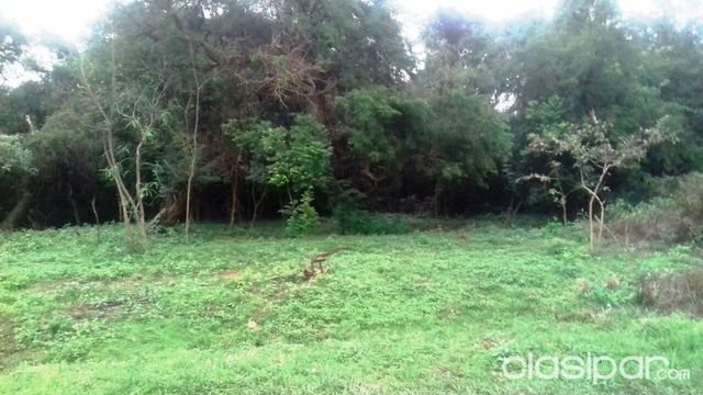 EN OFERTA 6 LOTES JUNTOS EN CAPIATA!!! — foto 3