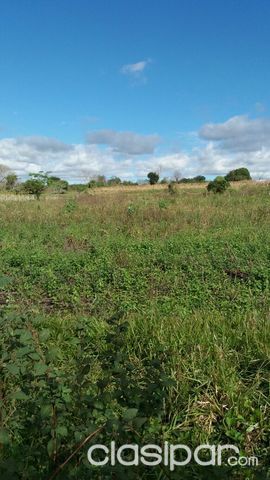 IMPORTANTE PROPIEDAD EN CAMPO 9 — foto 3