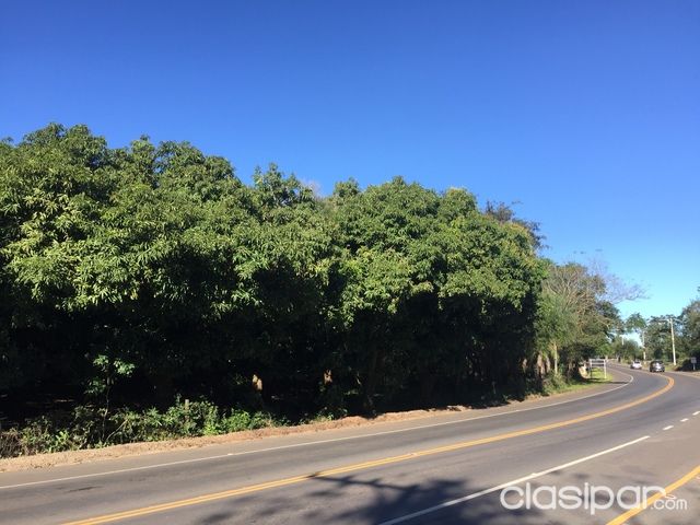 RUTA LUQUE SANBER - VENDO HERMOSO TERRENO 5930m2 — foto 3