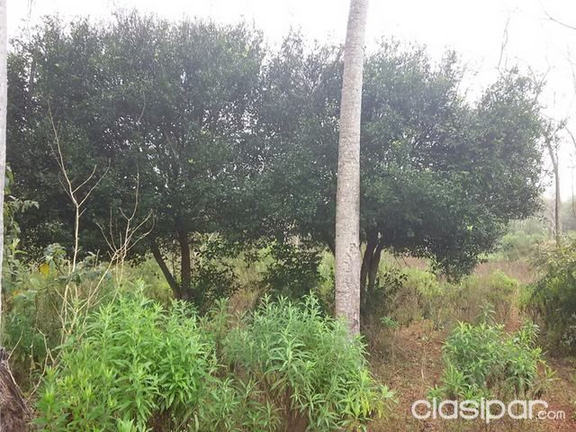 Terrenos de pirayu a Yaguaron — foto 2