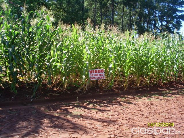 Terreno de 900 m2 en Hohenau Centro — foto 2