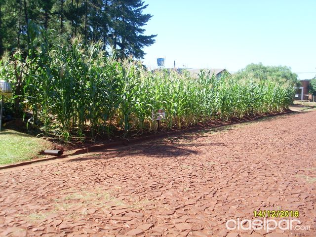 Terreno de 900 m2 en Hohenau Centro — foto 3