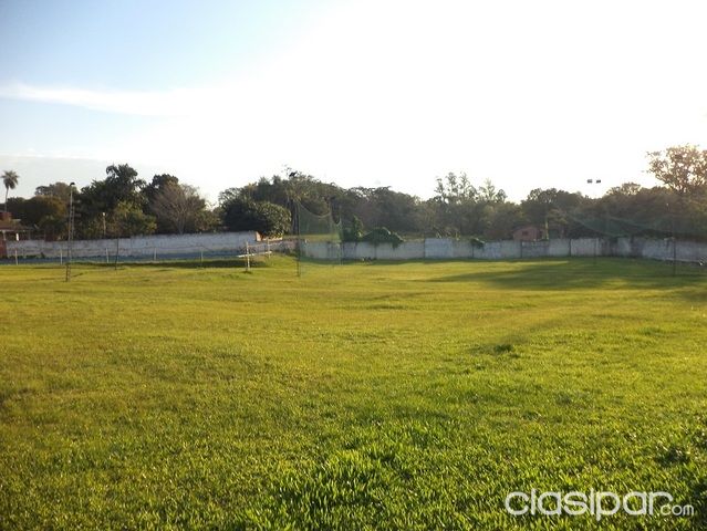 VENDO PROPIEDAD DE 10.000 M2 EN LUQUE — foto 3