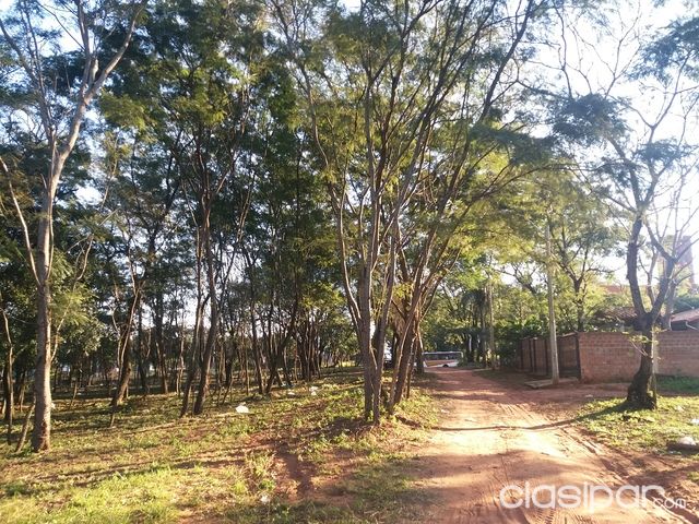 oferto!!! terrenos sobre asfalto — foto 3