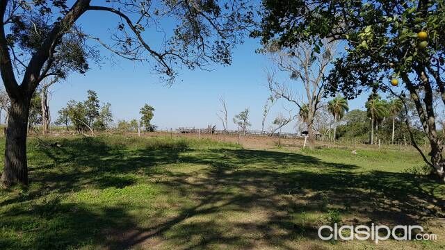 Vendo hermoso campo — foto 2