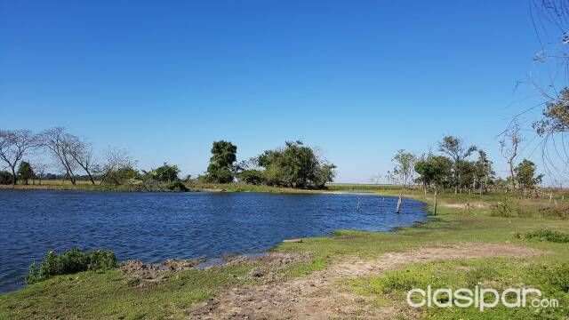 Vendo hermoso campo — foto 3